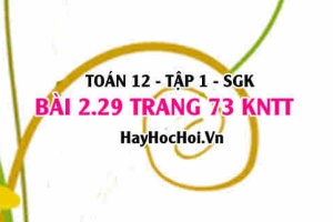Bài 2.29 trang 73 Toán 12 tập 1 Kết nối tri thức